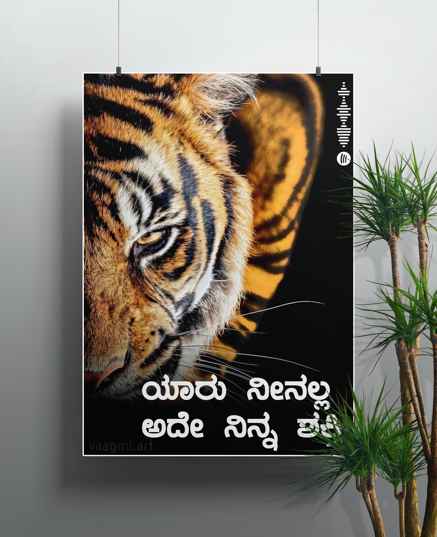 Tiger's Grace